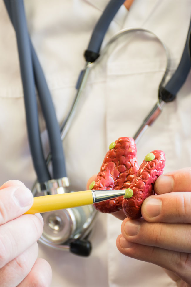 Αργυρού Μαρία Ενδοκρινολόγος Διαβητολόγος Χαλάνδρι - Σακχαρώδης Διαβήτης